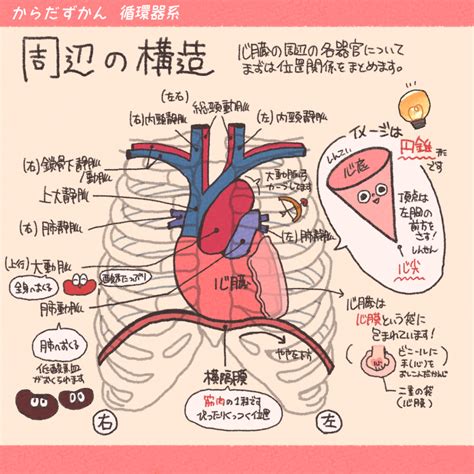 心底 位置